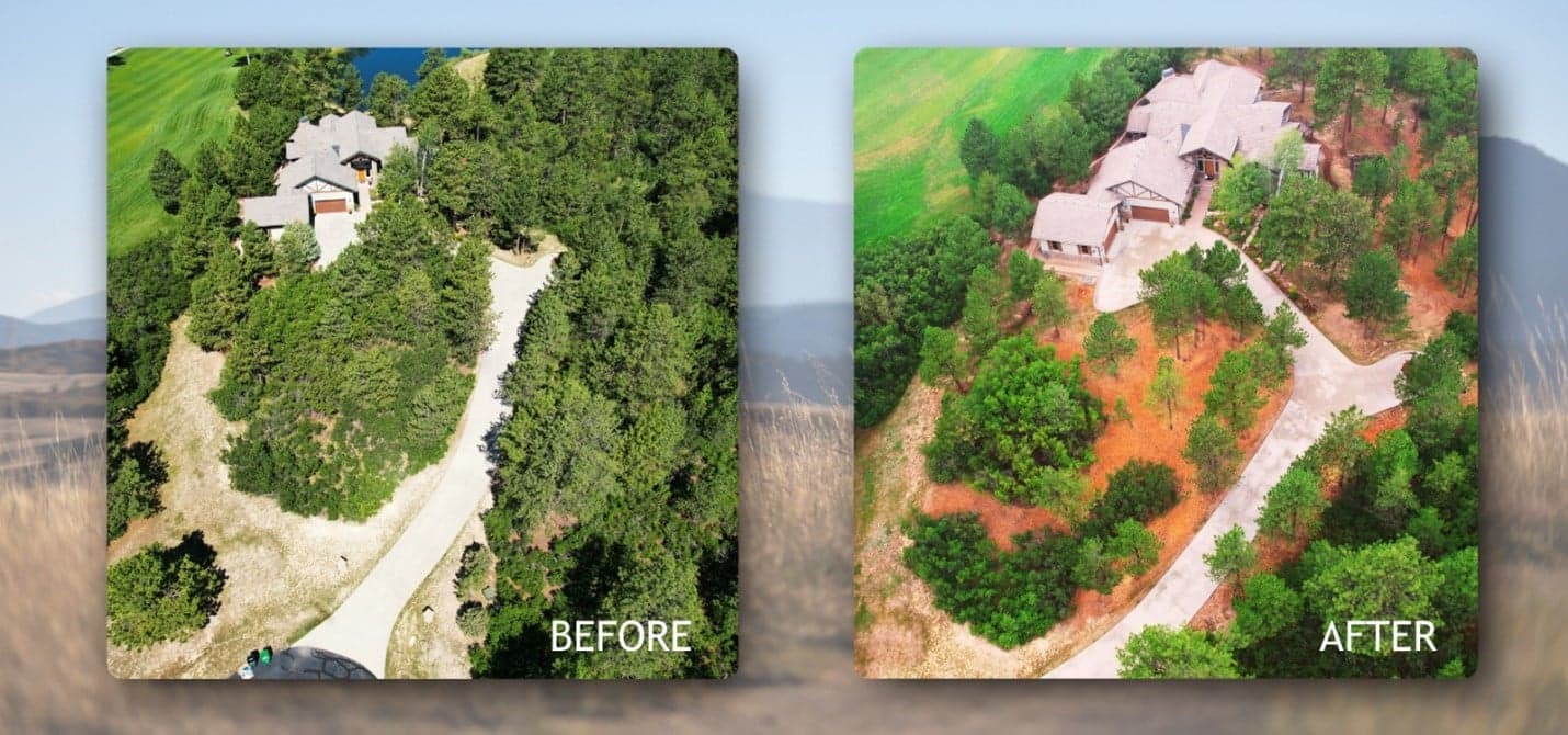 Douglas County Offers 50% Cost-Share for Wildfire Mitigation, Up to $25,000