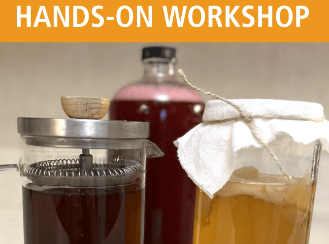 Des Moines workshop expands kombucha into a hands-on tasting experience