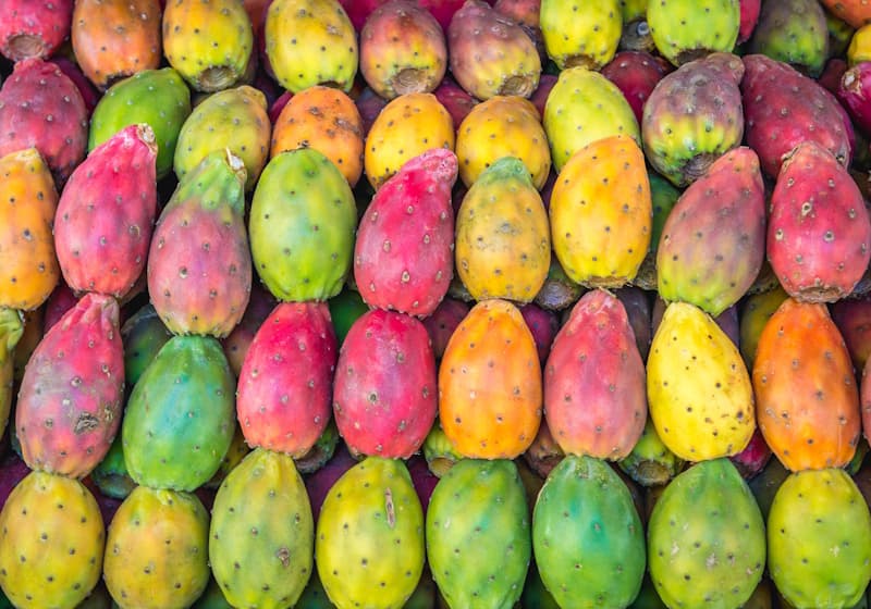 Egyptian researchers turn prickly pear peel waste into wool dye