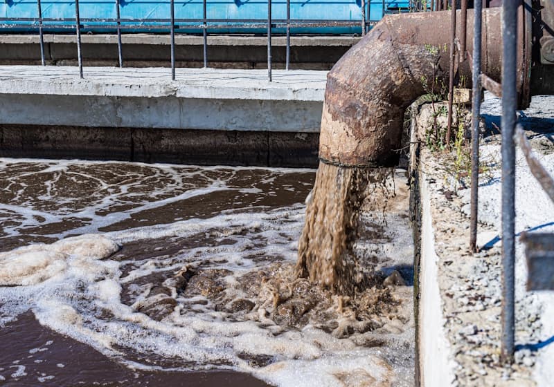 Ethiopian factory bacteria could clean up toxic textile dyes