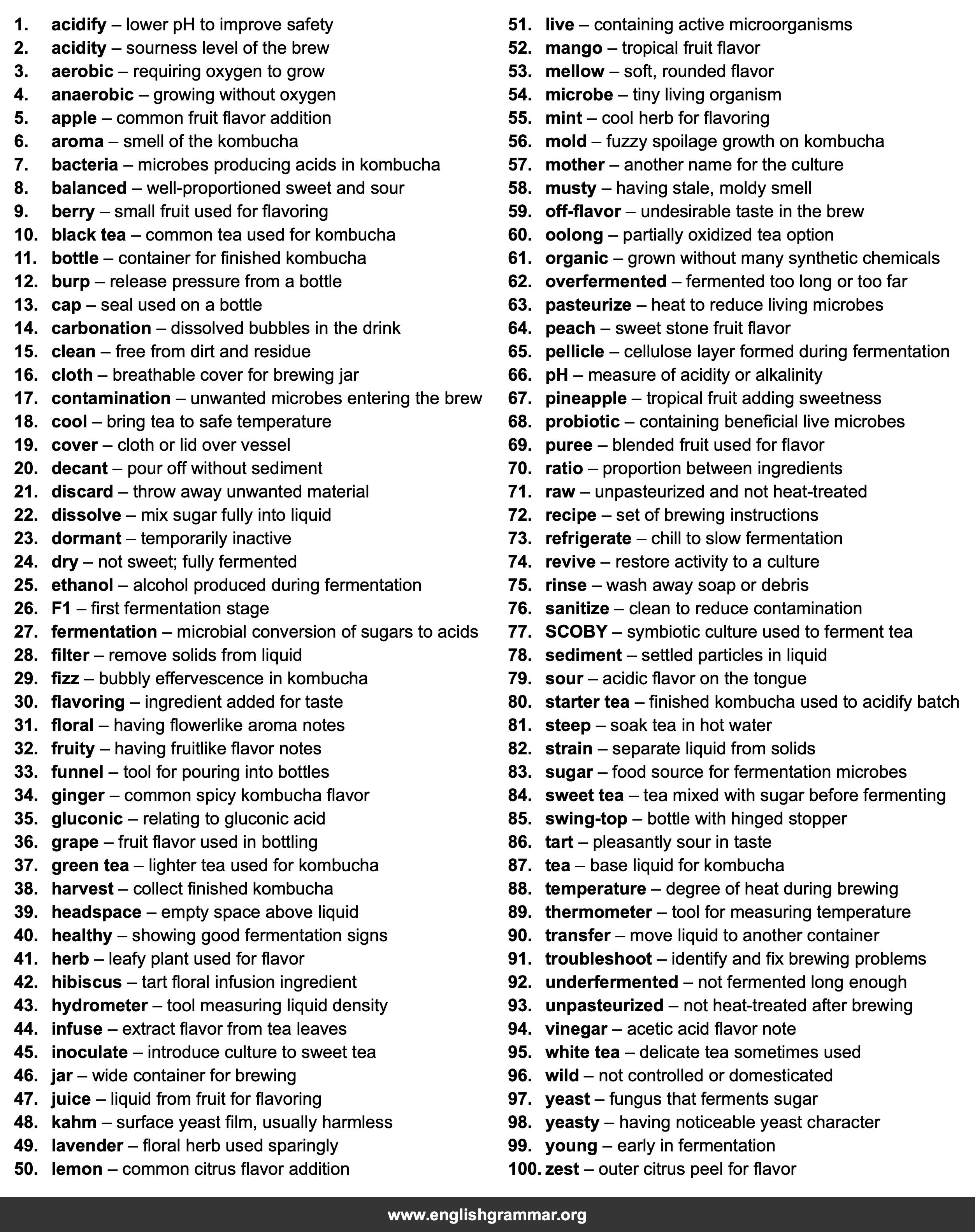 100 kombucha brewing terms every beginner should know