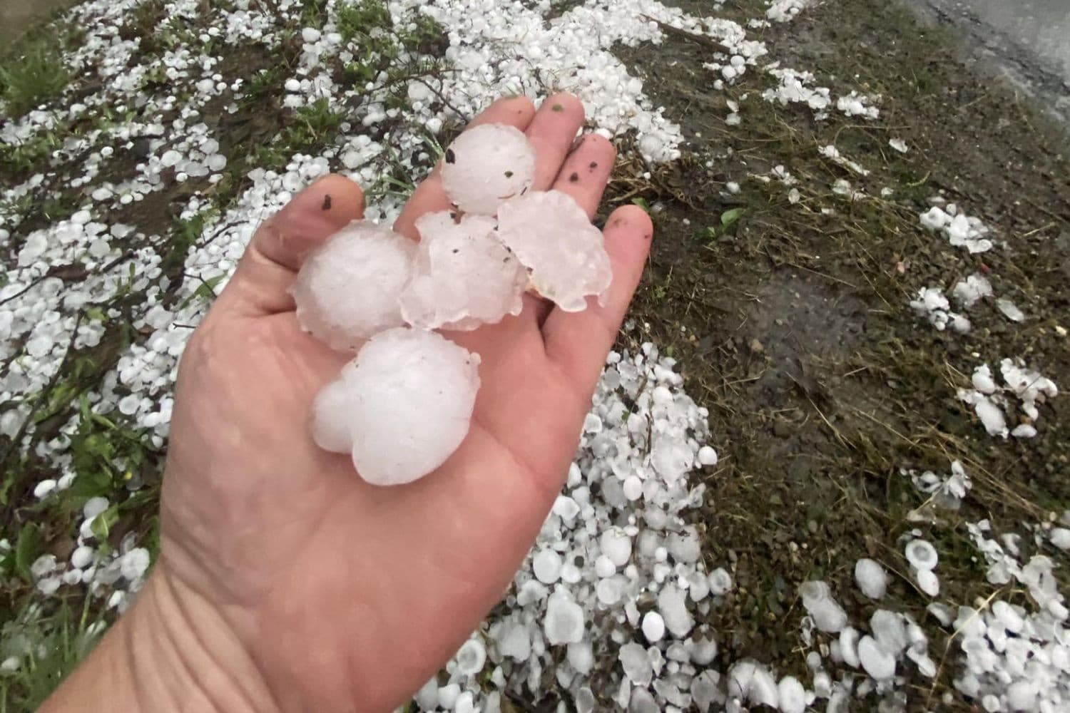 Hail, severe storms damage north Mississippi after Quitman County watch