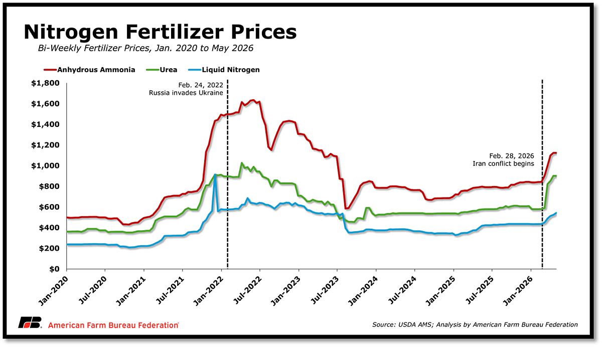 grocery prices could spike by summer as fertilizer costs surge