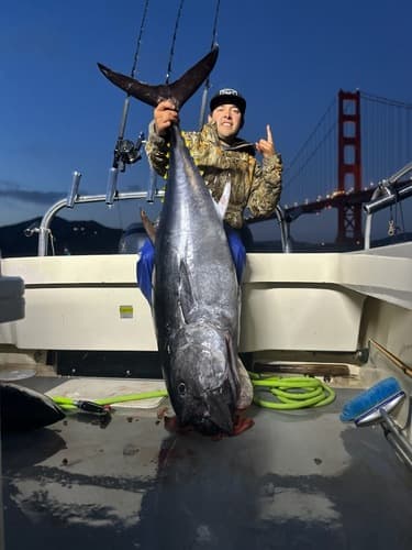 Scallywag lands 8 bluefin, tuna return to Emeryville fleet