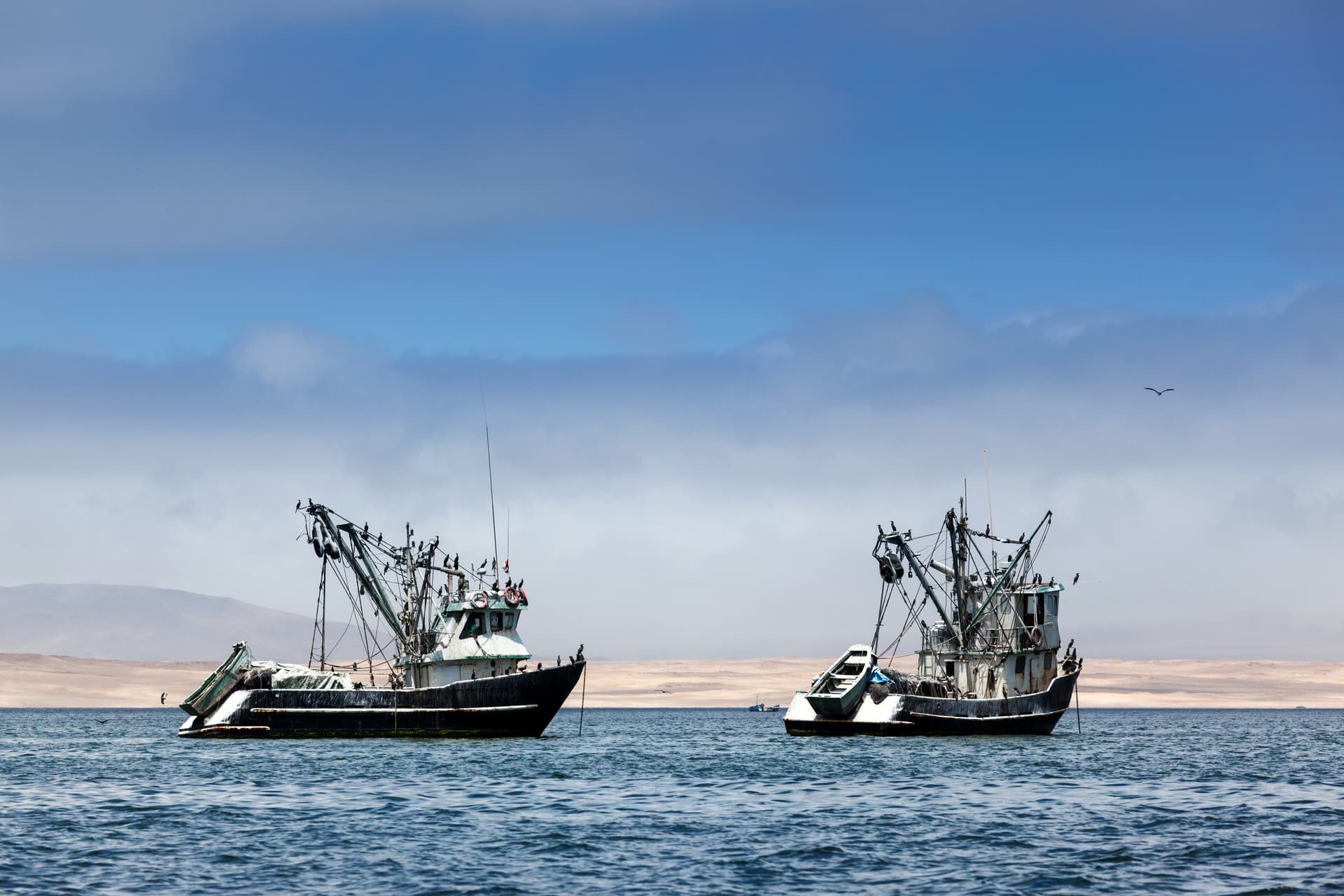 NOAA Cracks Down on Improperly Labeled Tuna Imports, Issues Civil Penalties
