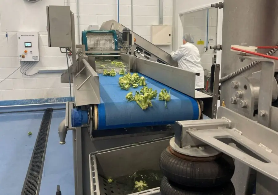 Upcycled Plant Power passes BRCGS audit, wins Eurofins plant-based certification