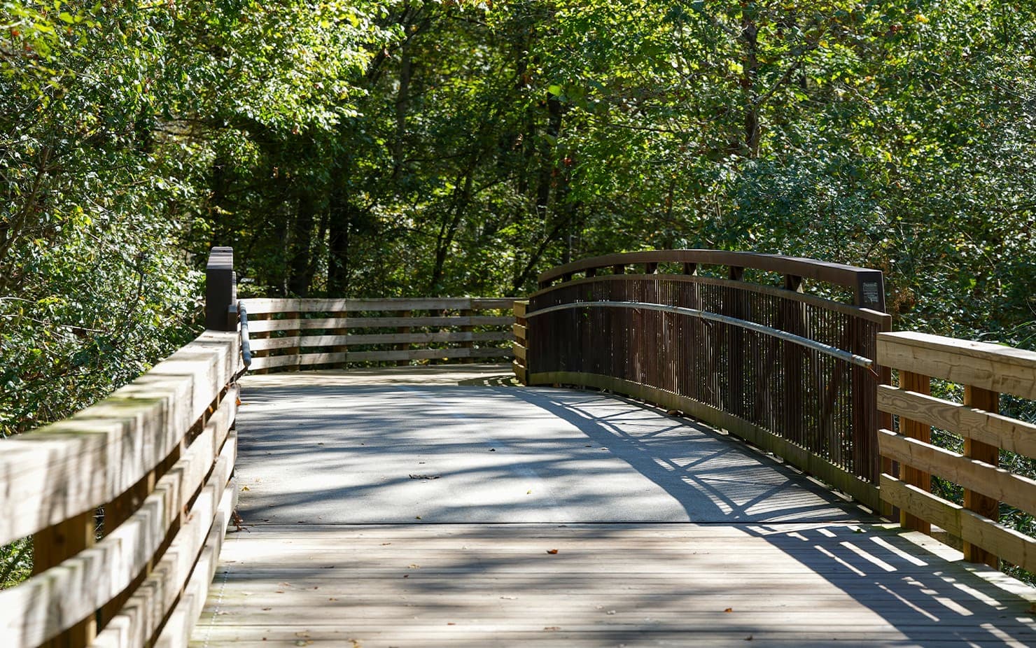 Big Creek Greenway stretches nearly 16 miles across Forsyth County