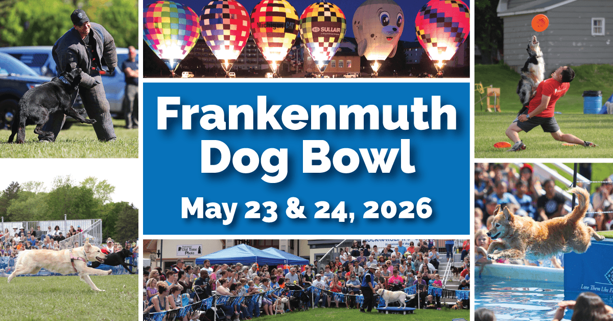 Frankenmuth Dog Bowl packs dog sports, races, and balloon glows