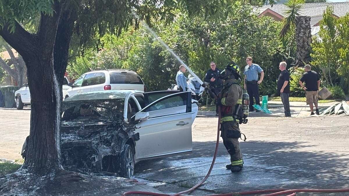 Driver flees after crashing into tree, car catches fire in Fresno