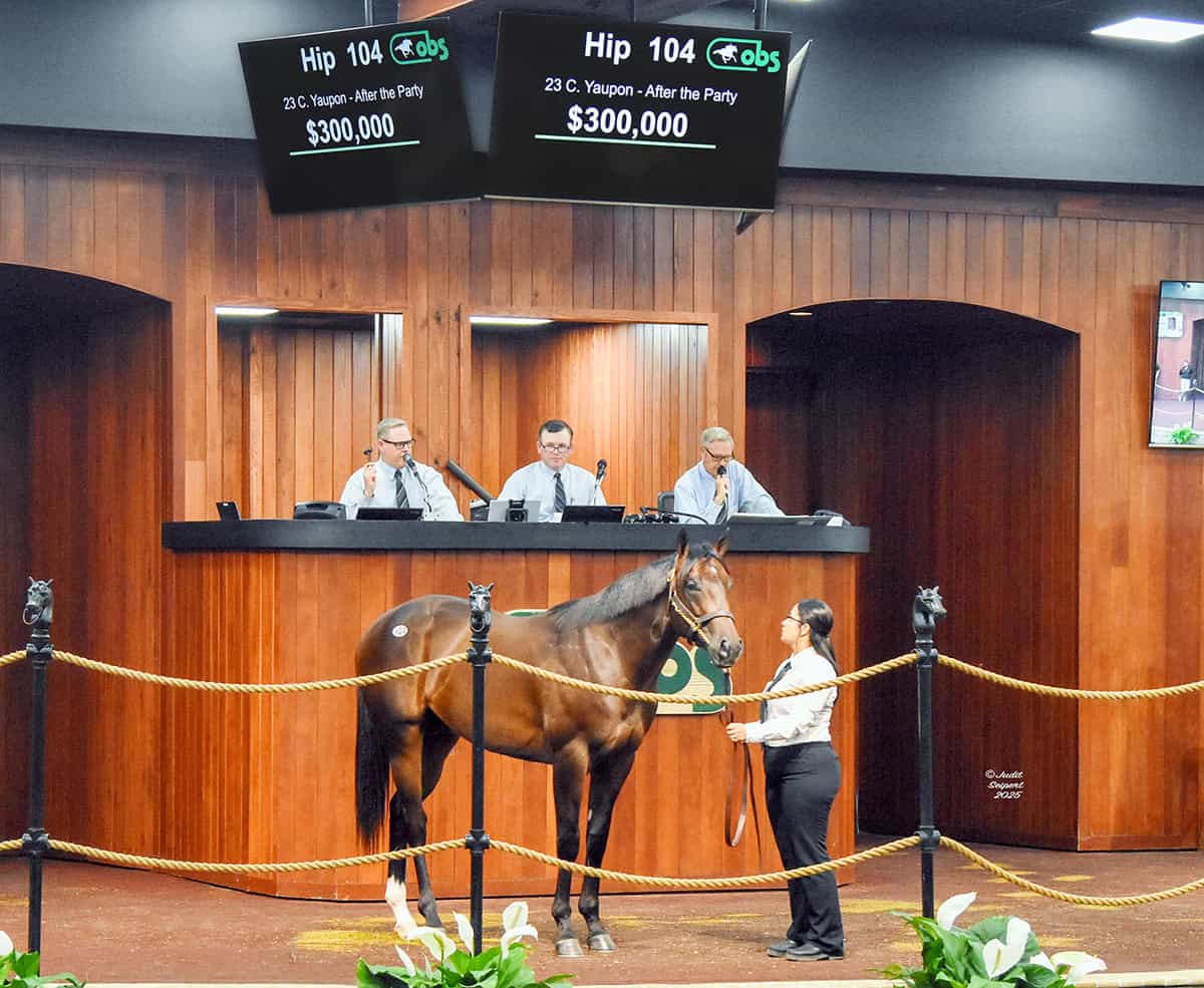 Million-Dollar Yaupon Colt Headlines Final Session at OBS March Sale