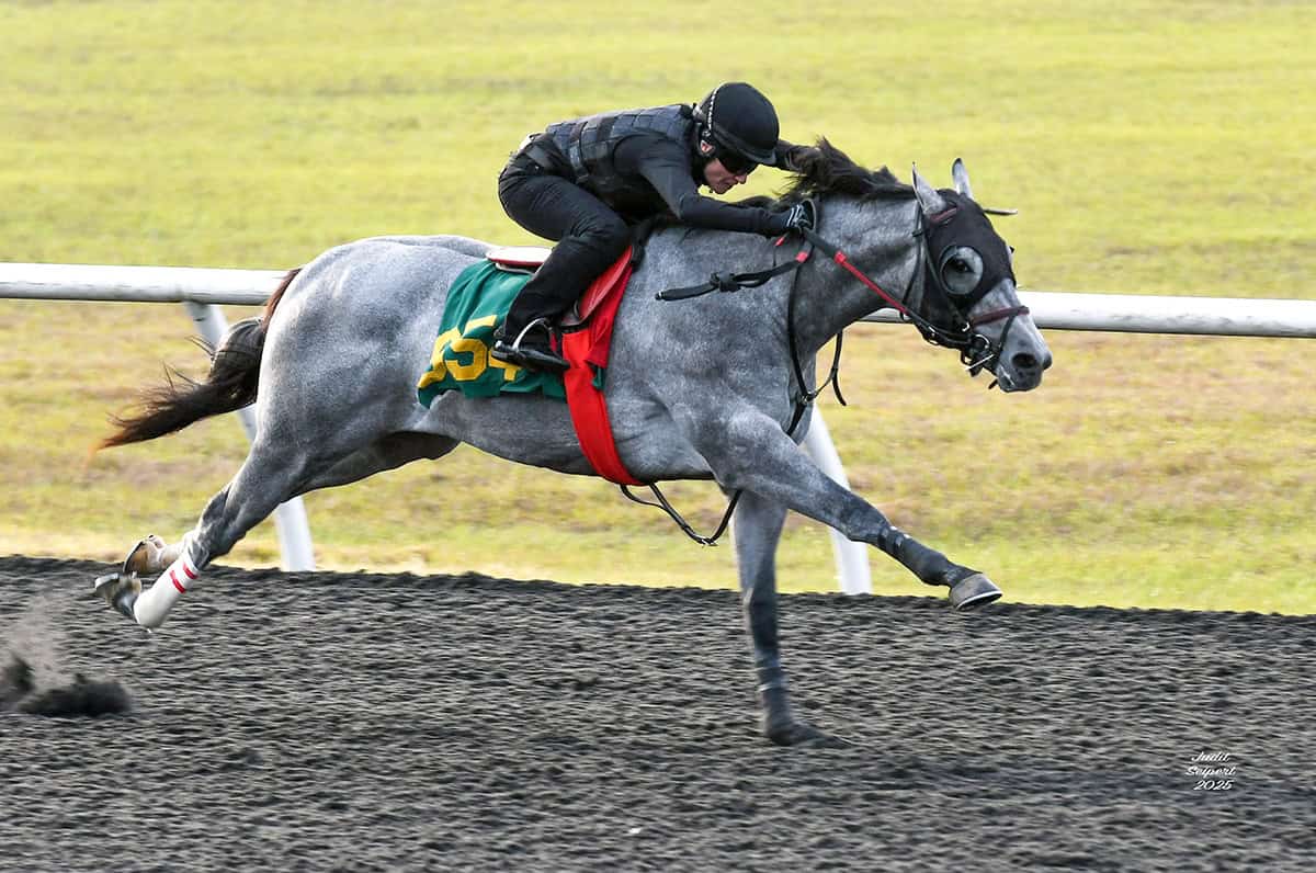 Highly Bred Uncle Mo Colt Posts Co-Fastest Breeze at OBS Spring Sale