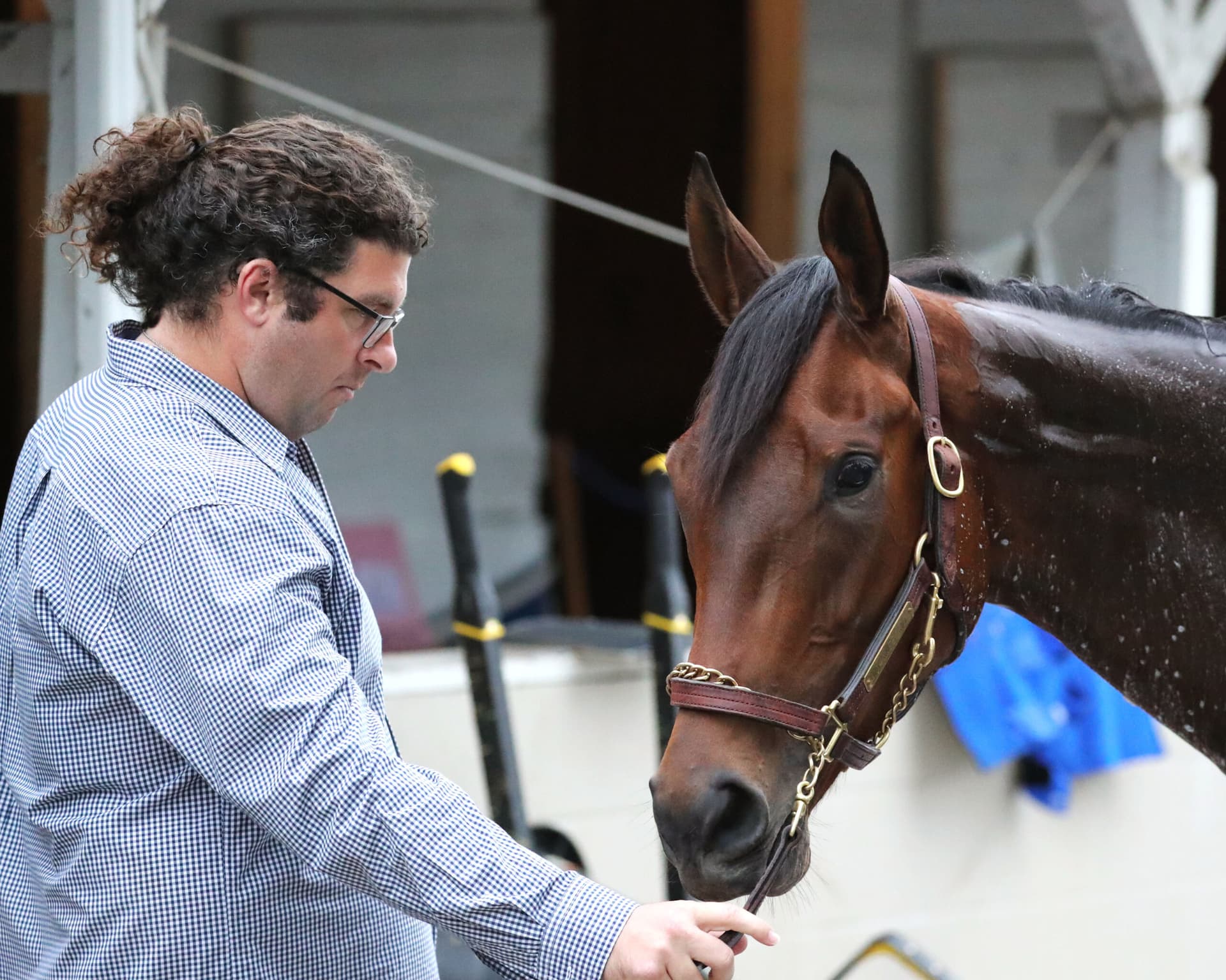 My Miss Mo aims to capitalize on wide-open Black-Eyed Susan field