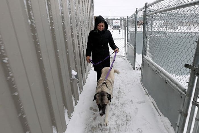 Stutsman County mortgage customers donate $29,000 during Giving Hearts Day