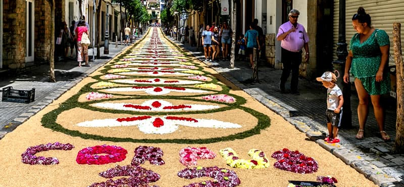 Sitges Corpus 2026 puts bonsai on the opening-day arts program