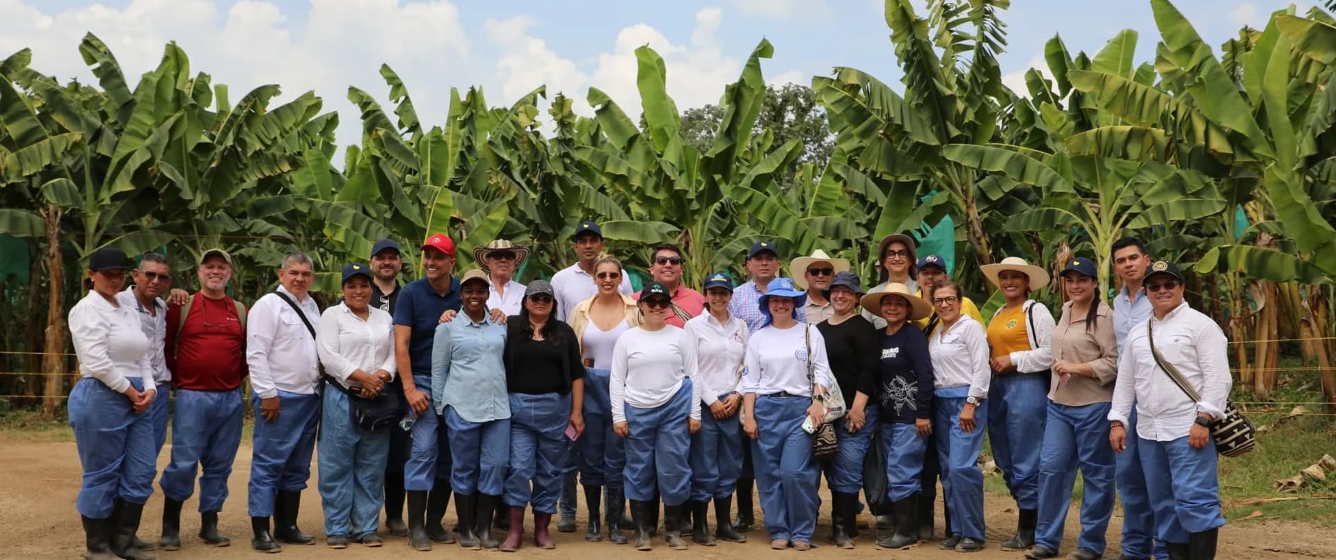 Colombia coffee sector leaders complete ILO living wage training