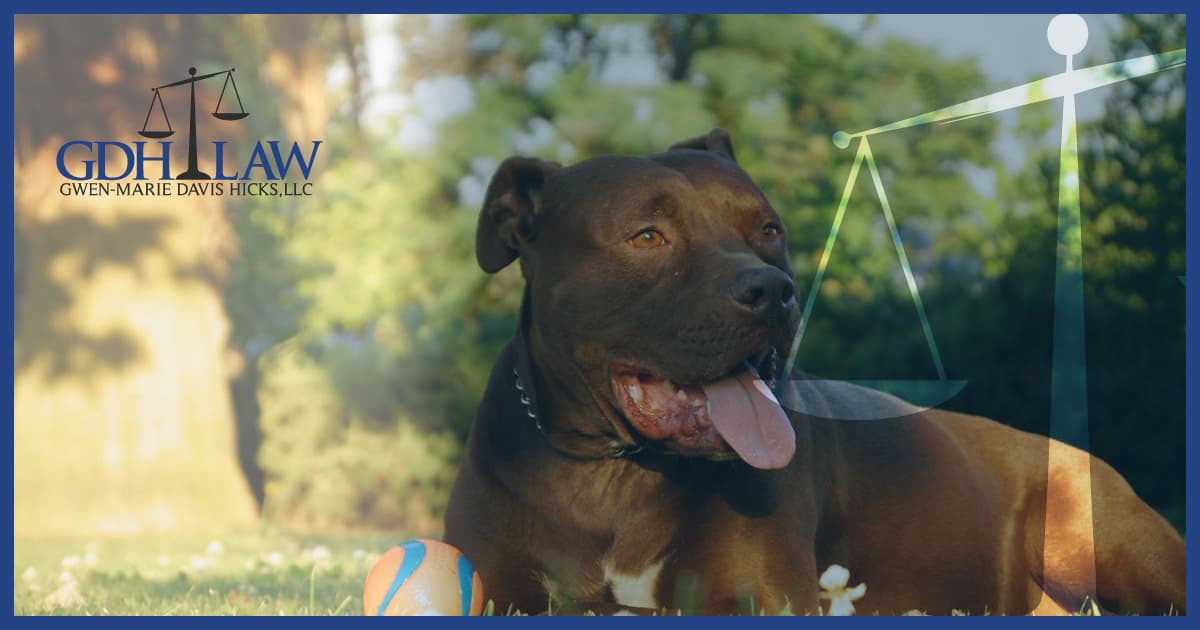 Prince George’s County Repeals Pit Bull Ban, Waives March Adoption Fees