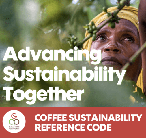 GCP to review Coffee Sustainability Reference Code and Equivalence Mechanism in 2026