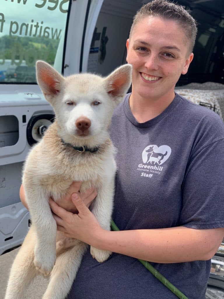 Eugene man arrested after two dogs found abandoned without water