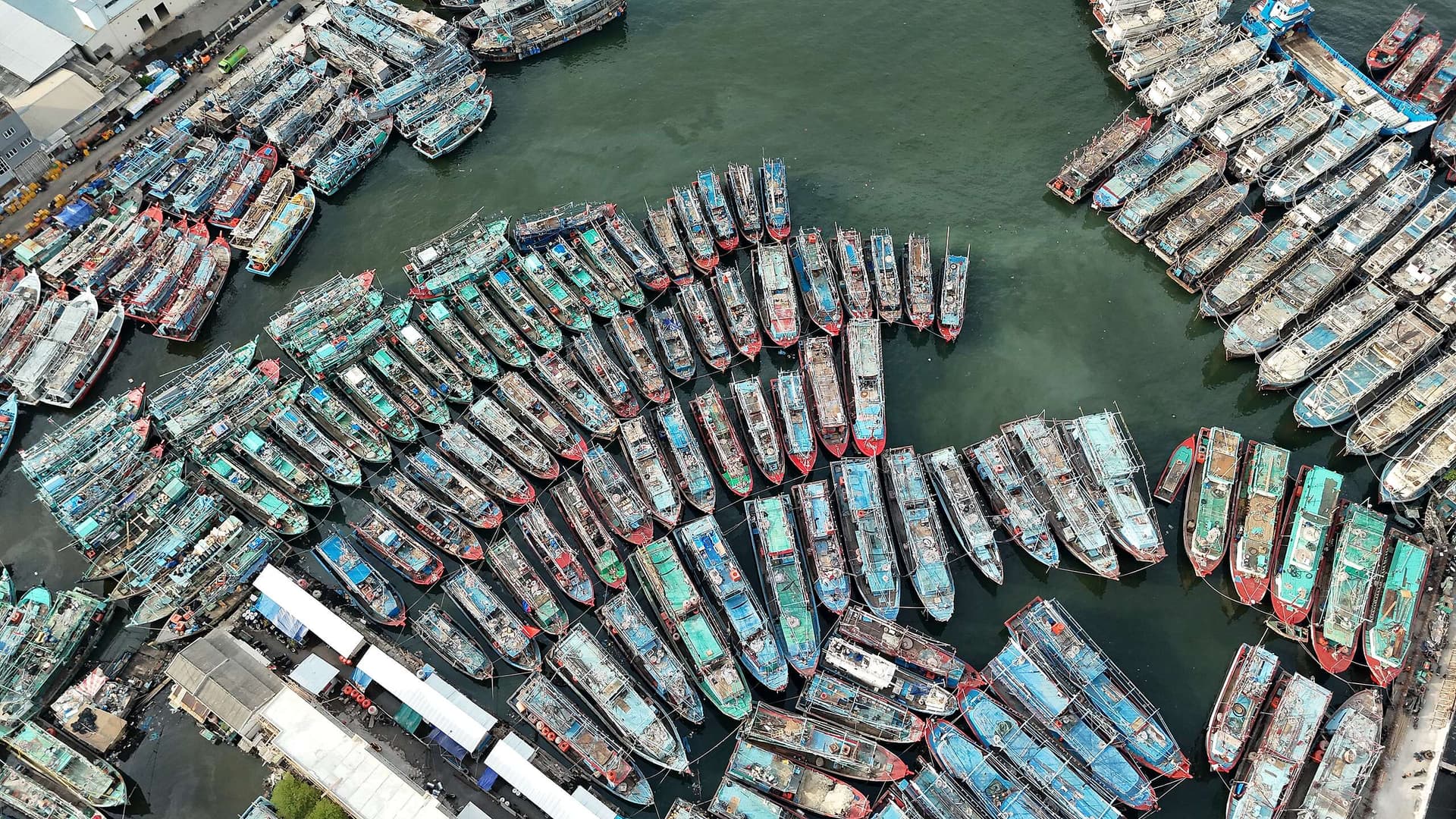 Investigation Links Indonesian Tuna Forced Labour to Australian Seafood Supply