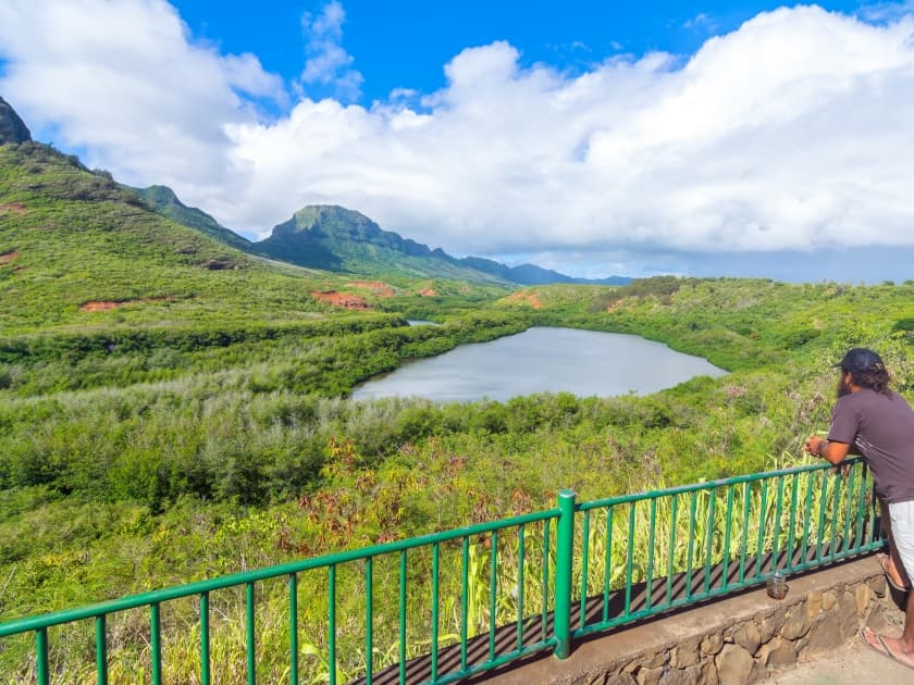 Kauai's Menehune Fishpond stands as ancient Hawaiian aquaculture landmark