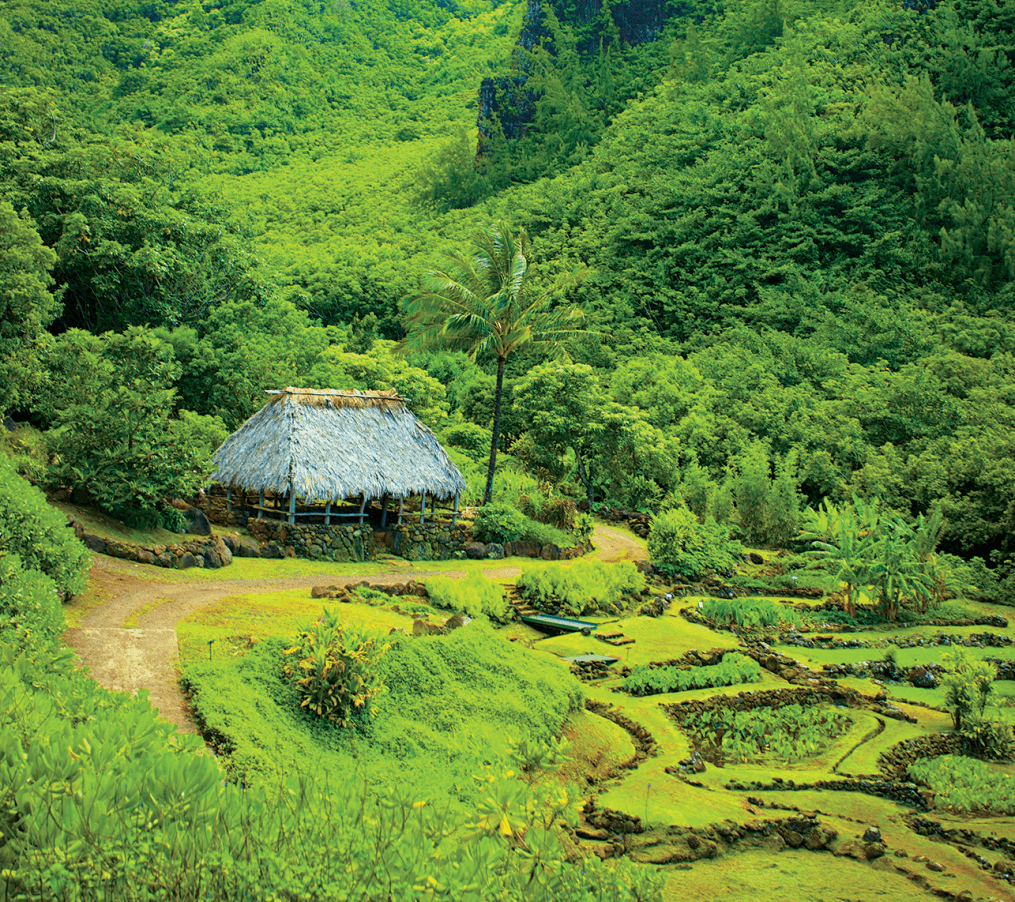 Limahuli Garden preserves Hawaiian heritage, ecology and land stewardship