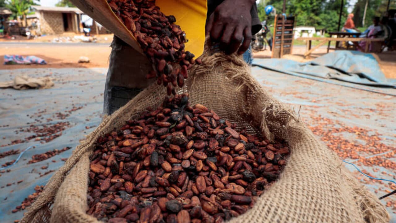 Coffee Prices Could Crash Like Cocoa, Analysts Warn in 2026