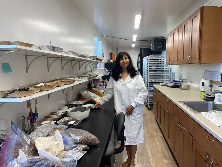 Hawaii Island Seed Bank Safeguards Native Plants Against Climate Threats
