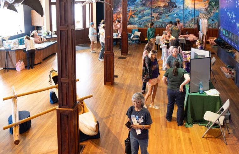 Downtown Hilo to host World Bee Day event celebrating pollinators