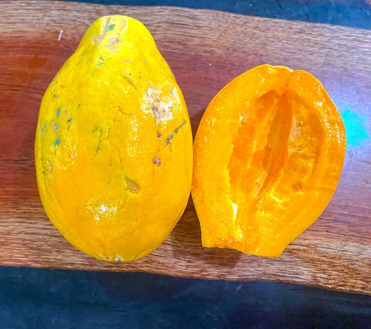 Hilo meeting launched Hawaii's papaya industry, shaping East Hawaii agriculture