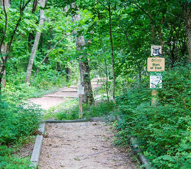 Heard museum in McKinney offers trails, wildlife and birding across 289 acres