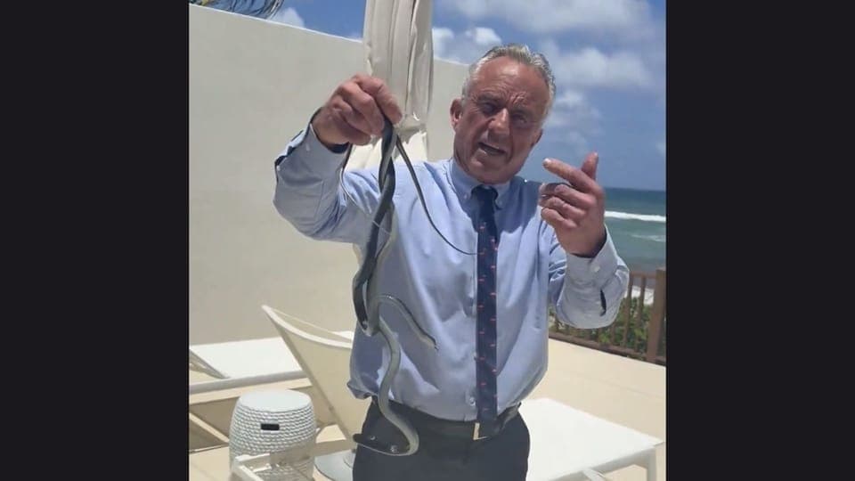 Kennedy posts viral video of himself wrangling snakes in Florida