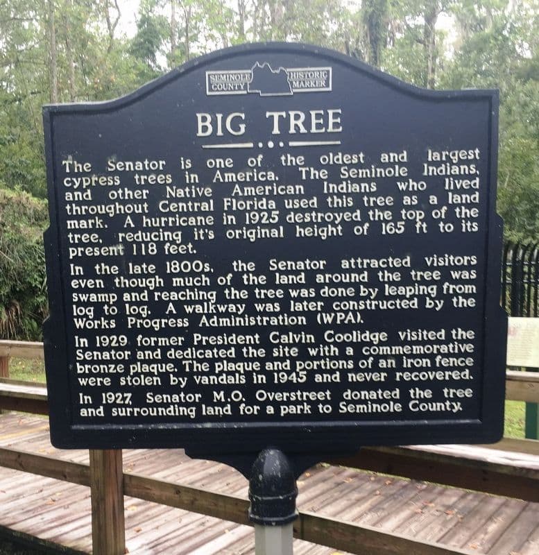 Big Tree Park offers history, trails and a glimpse of old cypresses
