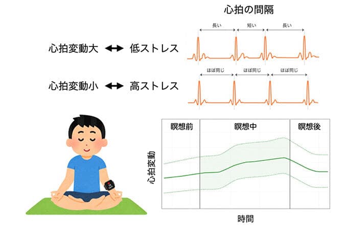 Study links mindfulness meditation to lower stress, not higher HRV