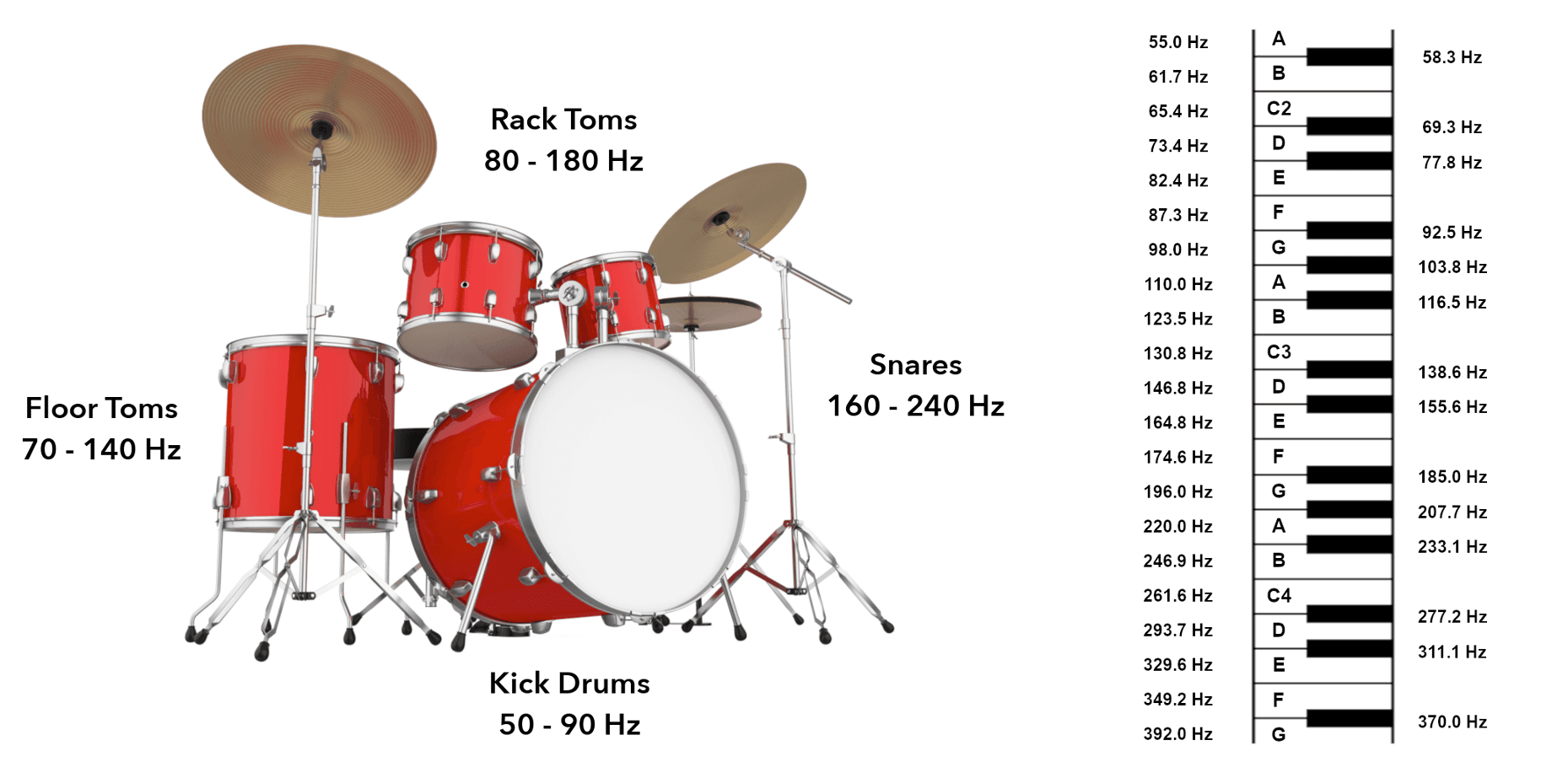 Step-by-Step Drum Tuning Guide for Beginners and Semi-Pros