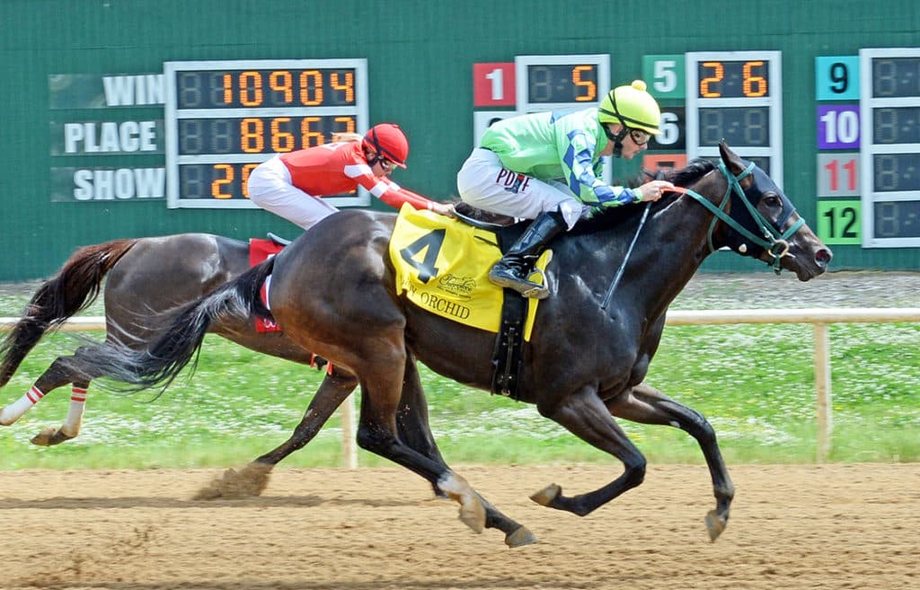 Will Rogers Downs spring meet surges with $20 million wagering boost