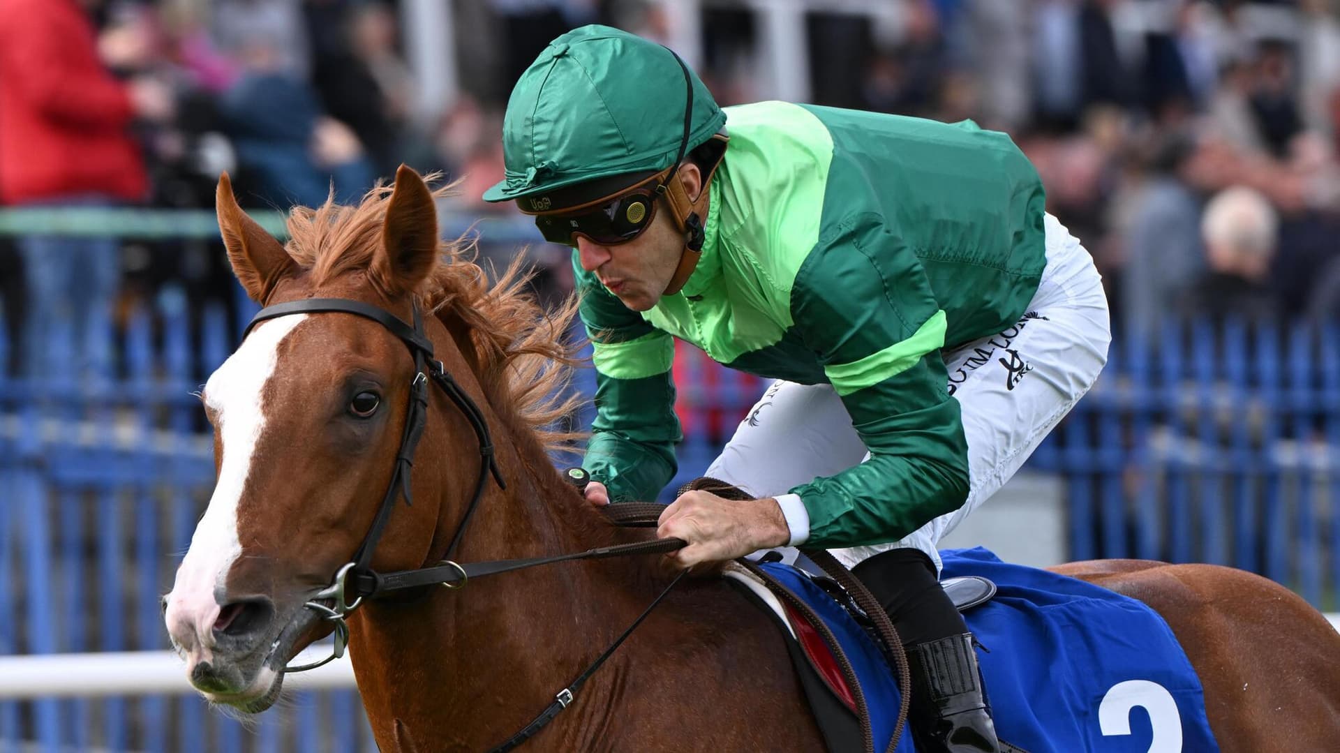 Benvenuto Cellini leads Chester Vase field in key Derby test