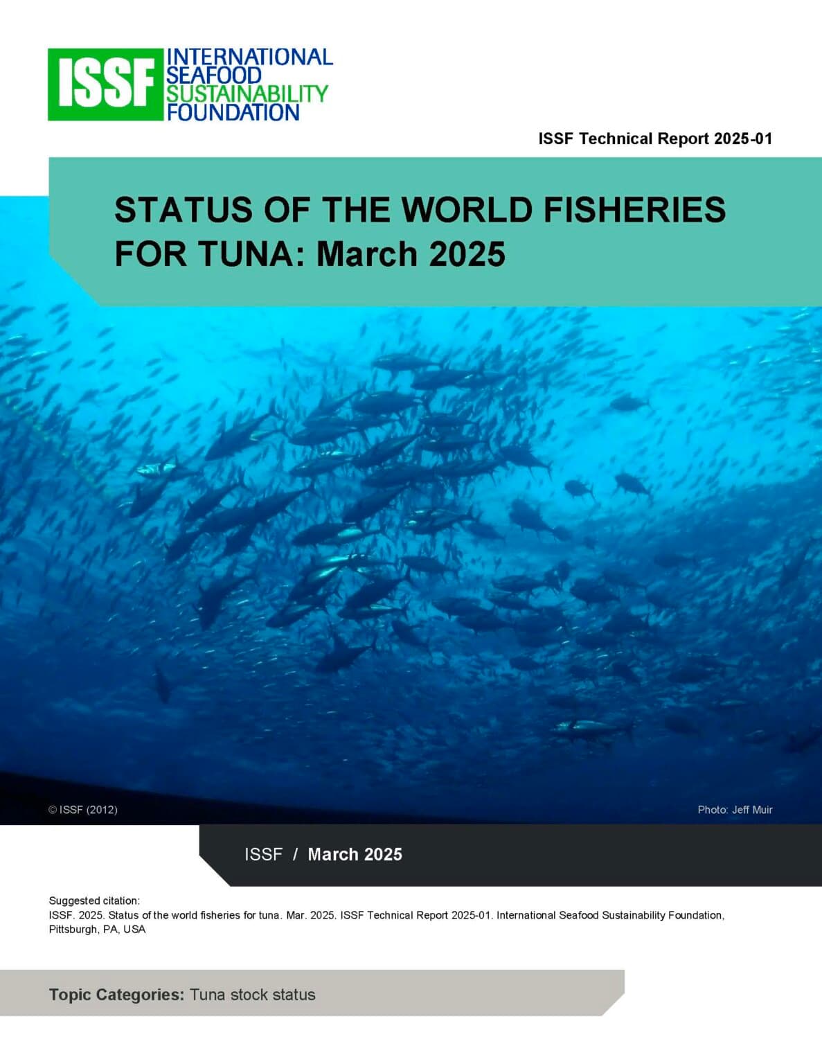 ICCAT adopts skipjack management procedure for western Atlantic tuna