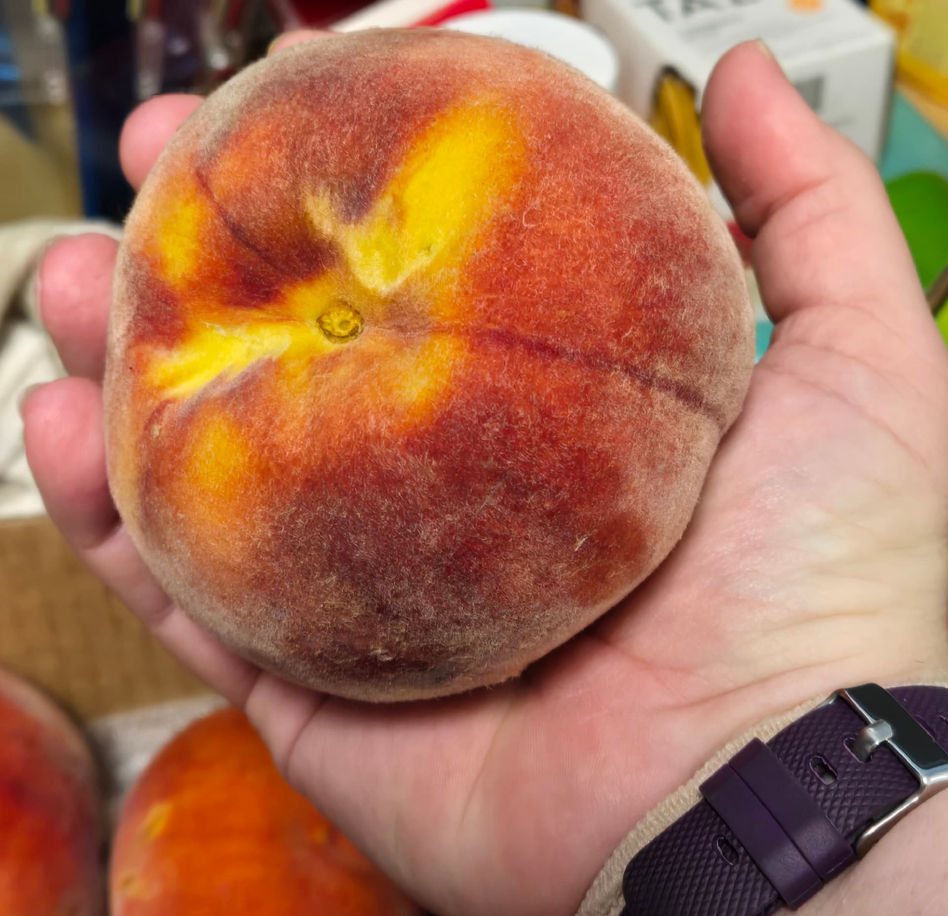 Proctor Peppers 4-H Club opens annual Palisade peach sale
