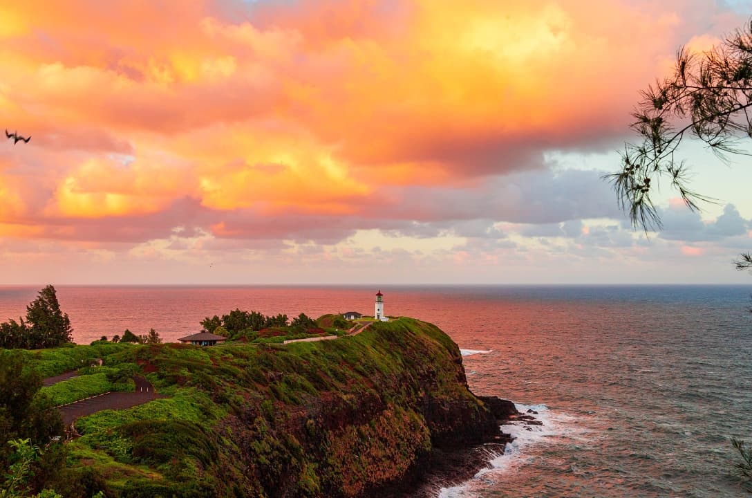 Kīlauea Point refuge draws visitors for wildlife, views and history