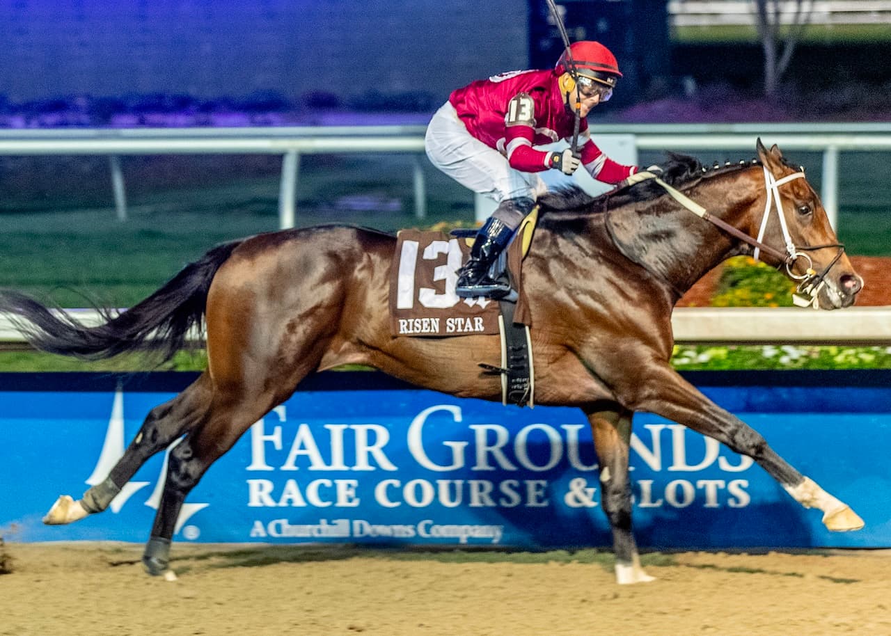 Chad Brown Sends Paladin to Risen Star for Major Derby Points
