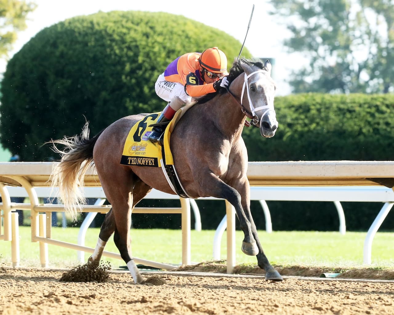 Champion Ted Noffey Diagnosed with Bone Bruising, Ruled Out of Kentucky Derby
