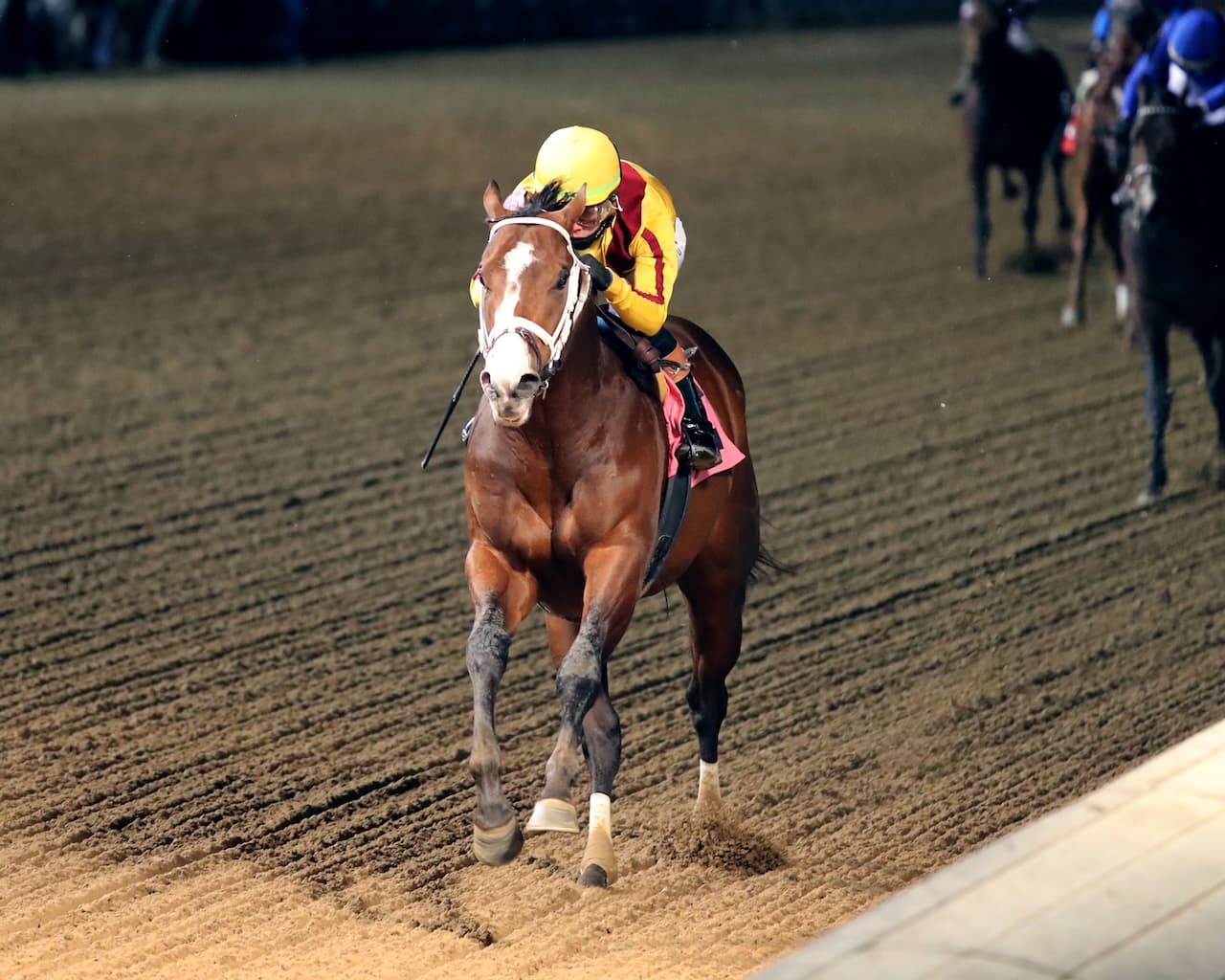 Cannoneer vs Incredibolt Headline Holy Bull Weekend at Gulfstream