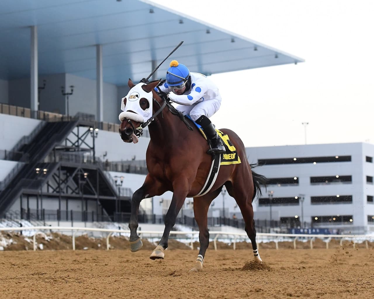 Talk to Me Jimmy Romps 11-Length Withers Win, Enters Kentucky Derby Trail
