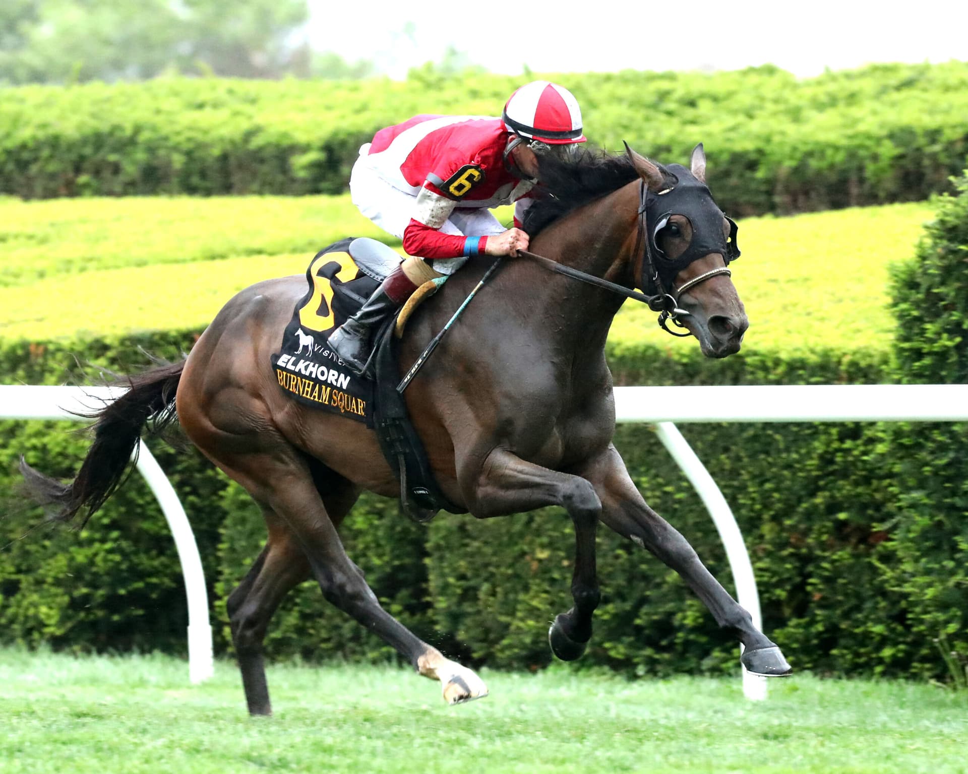 Burnham Square seeks repeat Louisville Stakes win at Churchill Downs