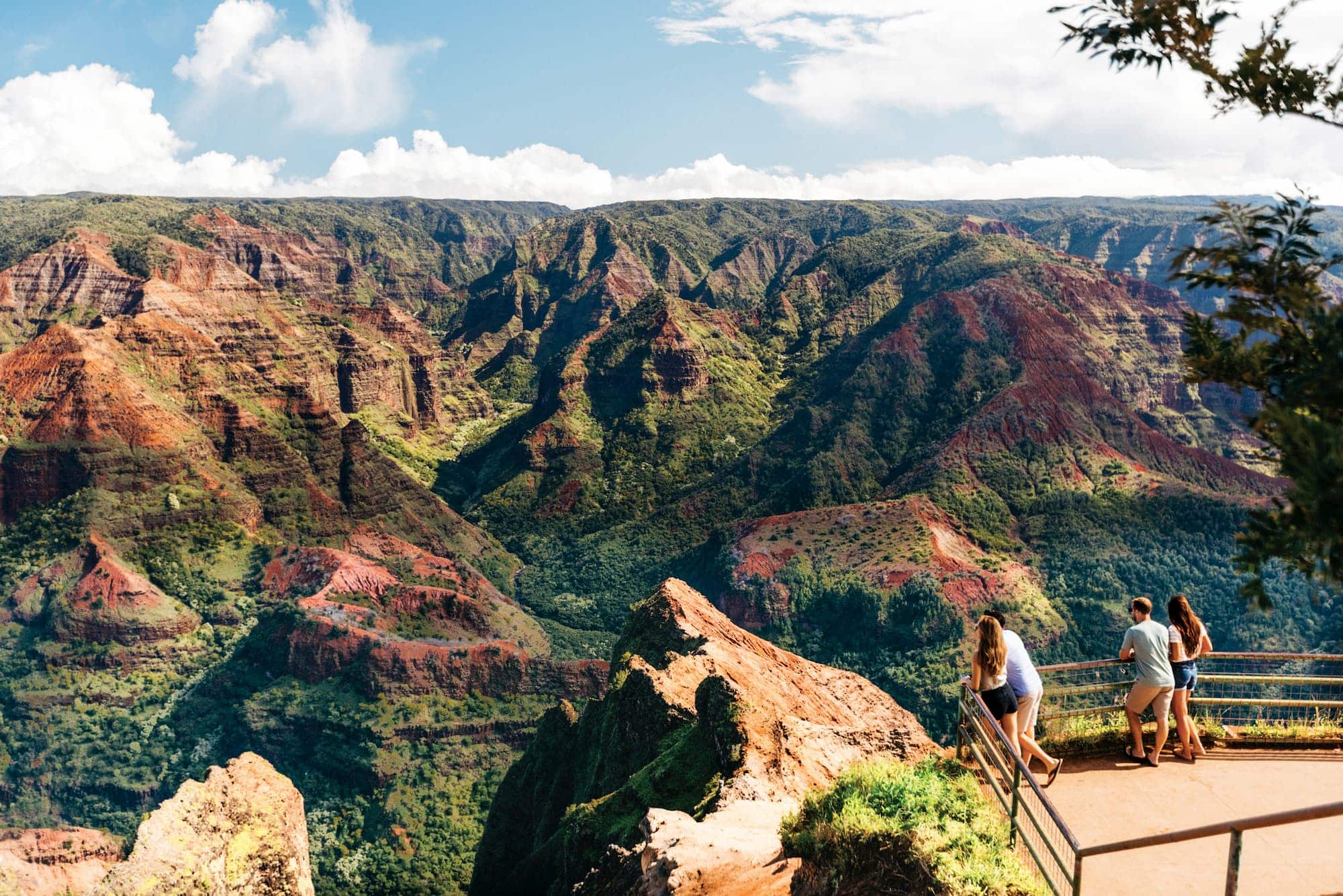 Waimea Canyon and Kokee draw visitors with views, trails, history