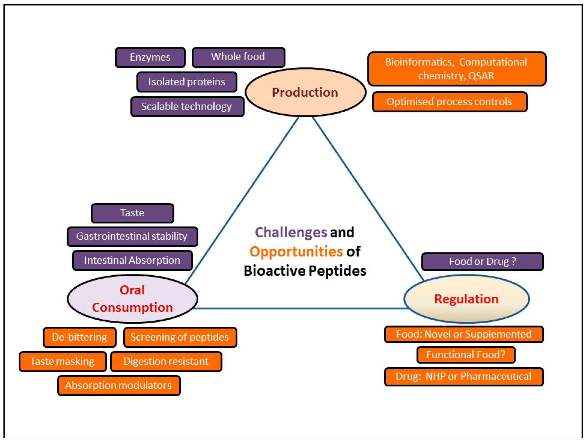 Protein innovation shifts from grams to function and bioactivity