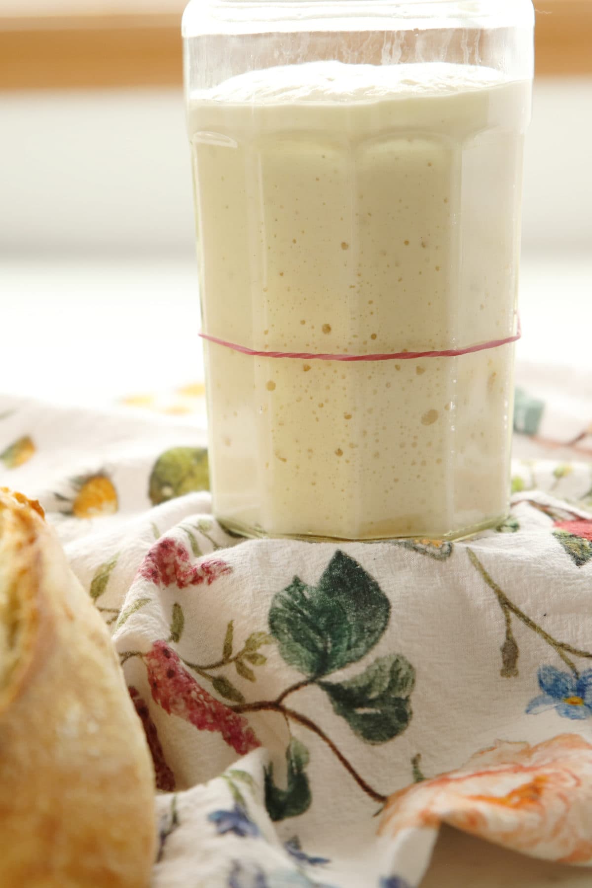 Mirlandra Neuneker Shares Expert Tips for Feeding and Maintaining Sourdough Starter