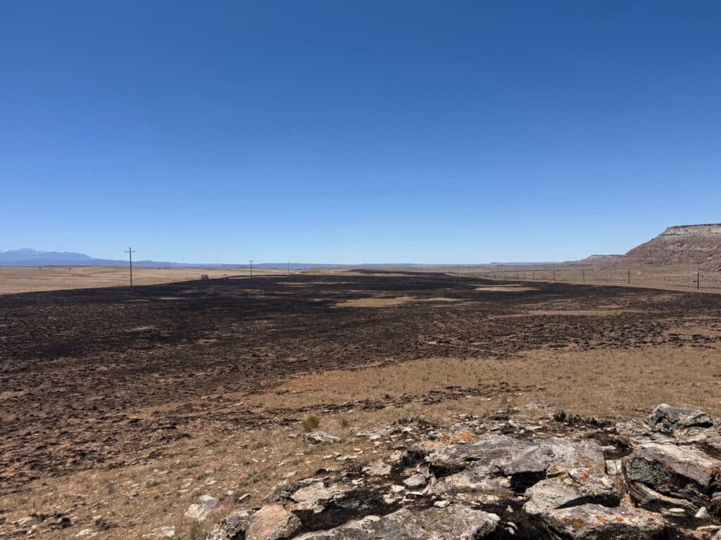 Early-season Agate Fire burns 115 acres near Cisco, now contained