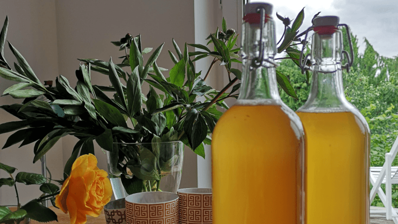 Bellingrath Gardens workshop teaches budget-friendly home kombucha brewing