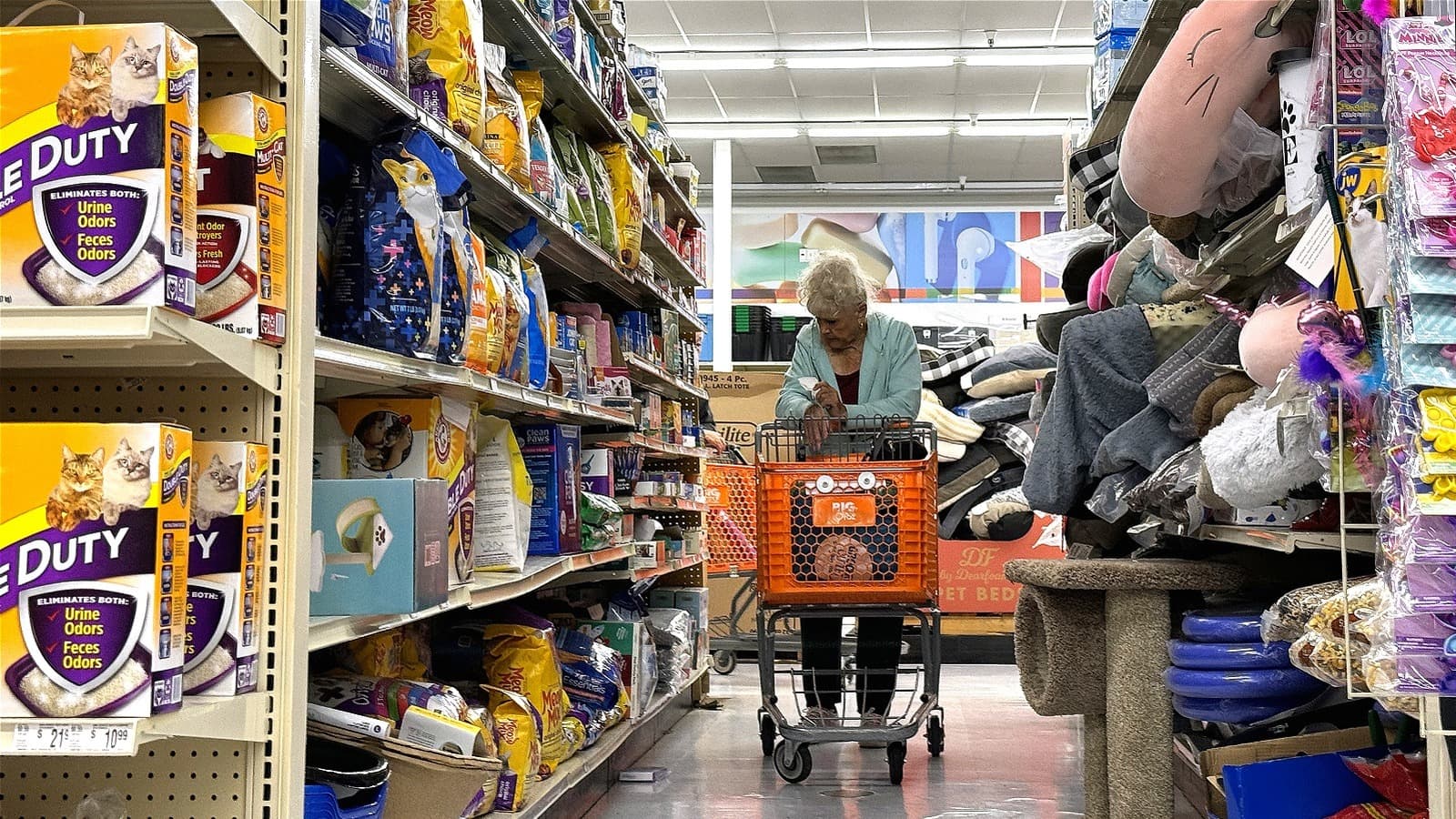 March spending rises, signaling cautious, value-focused shoppers at Big Lots